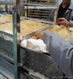 香肠烟熏炉的选购 唐山香肠烟熏炉 诸城诺尔食品机械厂
